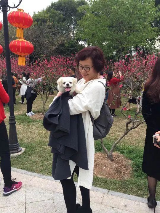 58歲的她，自駕房車旅居，一人兩犬，活成了自己喜歡的樣子